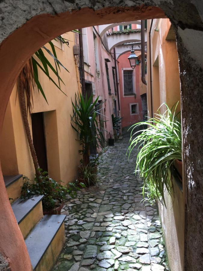 U Campanin Apartment Vallebona Exterior photo